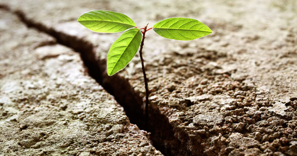 Resilienza